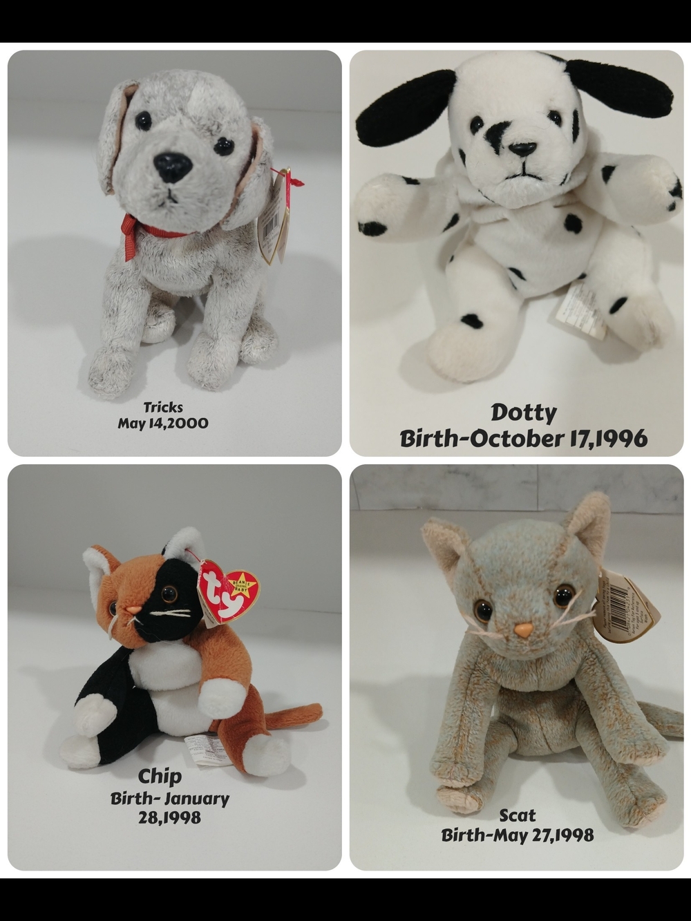 Ty Plush Dog and Cat Beany Babies With Tags,Tricks,Dotty,Chip & Scat,Like New